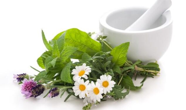 Les plantes médicinales constituent la base des remèdes contre les influences extérieures sur l'articulation du genou touchée par l'arthrose.